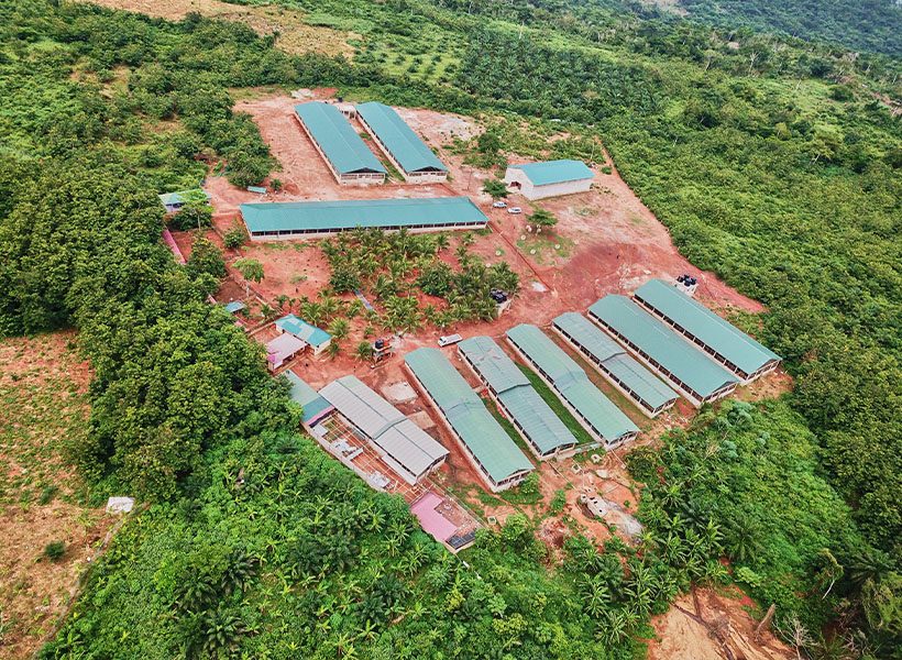 Green-roofed barns surrounded by the fields of Ampomaa Farms
