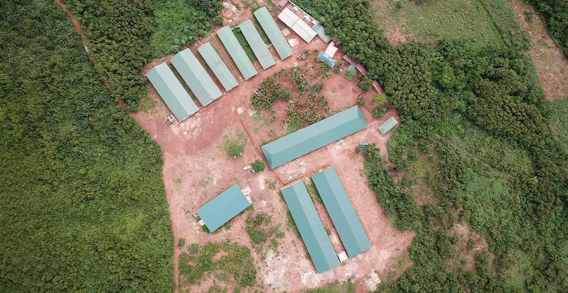 An aerial view of the farm