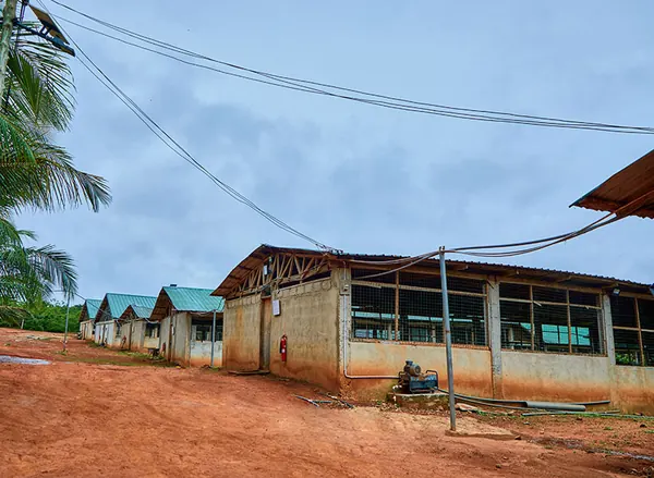 The poultry house