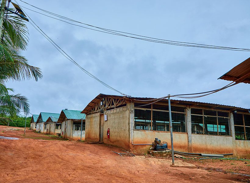 The poultry house at Ampomaa Farms
