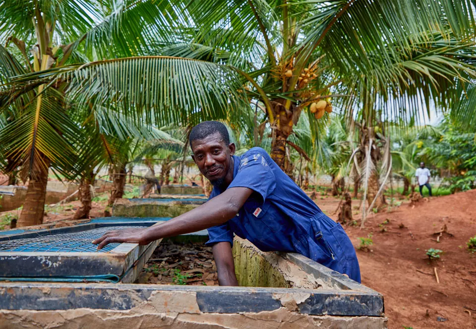 A member of the farm team at a fish tank