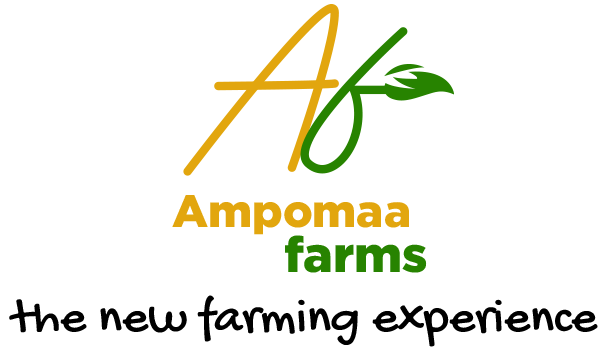 Ampomaa Farms