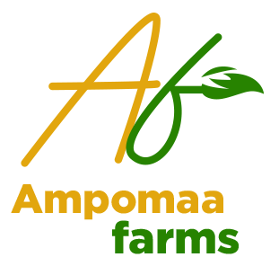 Ampomaa Farms